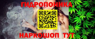 дурь Шелехов