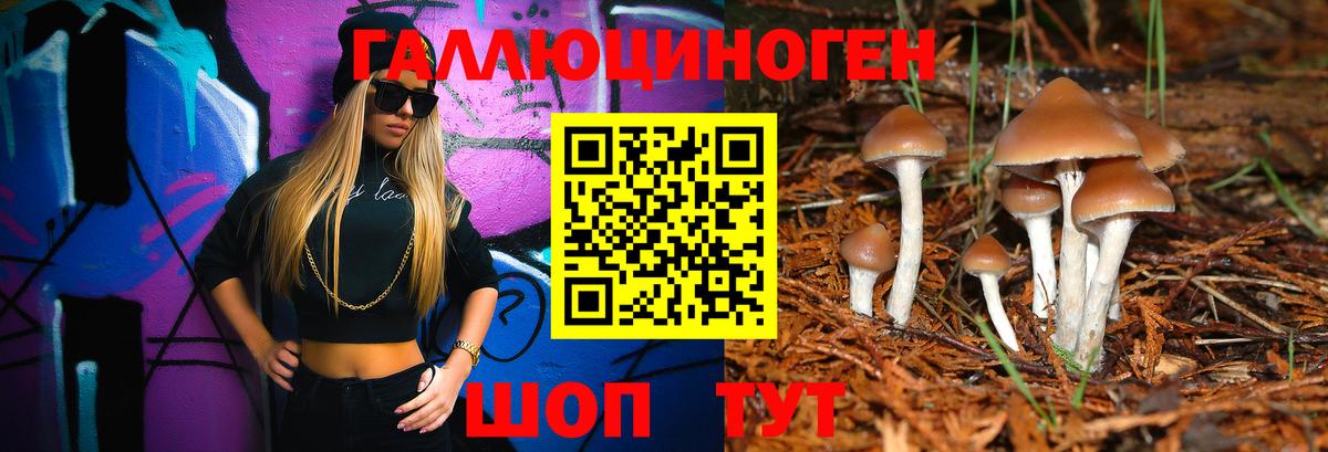 Симферополь  Псилоцибиновые грибы Magic Shrooms  Вход с VPN 