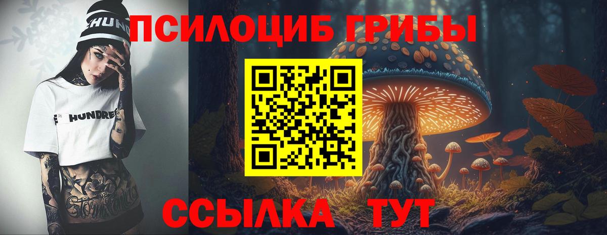 Галлюциногенные грибы Cubensis Симферополь